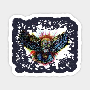 Color Barn Owl Sticker